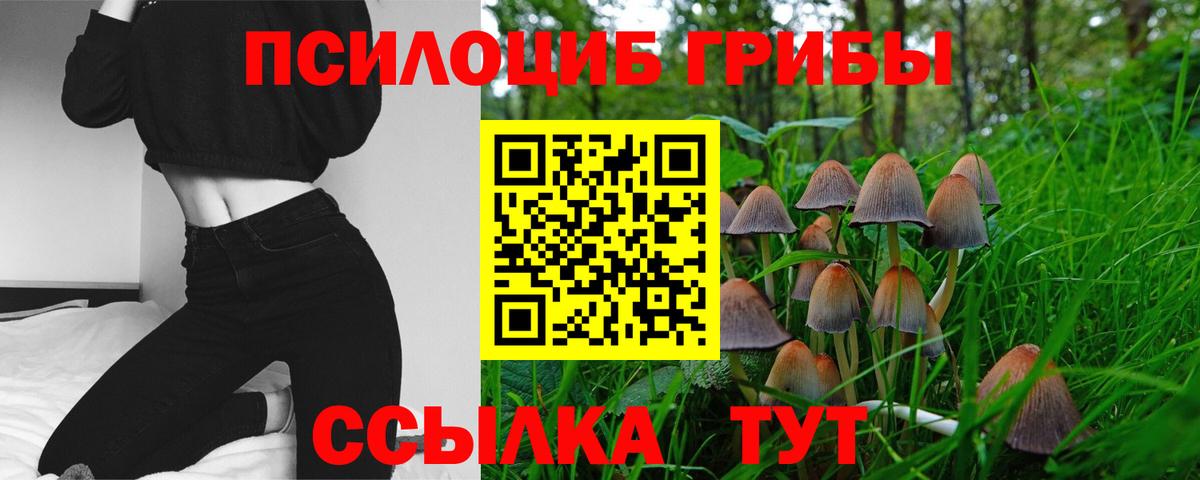 Галлюциногенные грибы мицелий  Вход с VPN  Чапаевск 